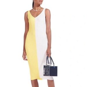 Staud Dana Colorblock Dress in Limoncello